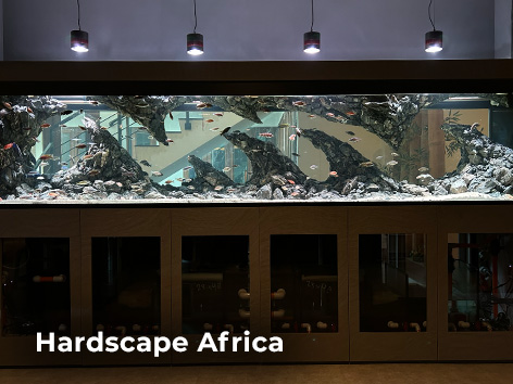 Aquascape Africa